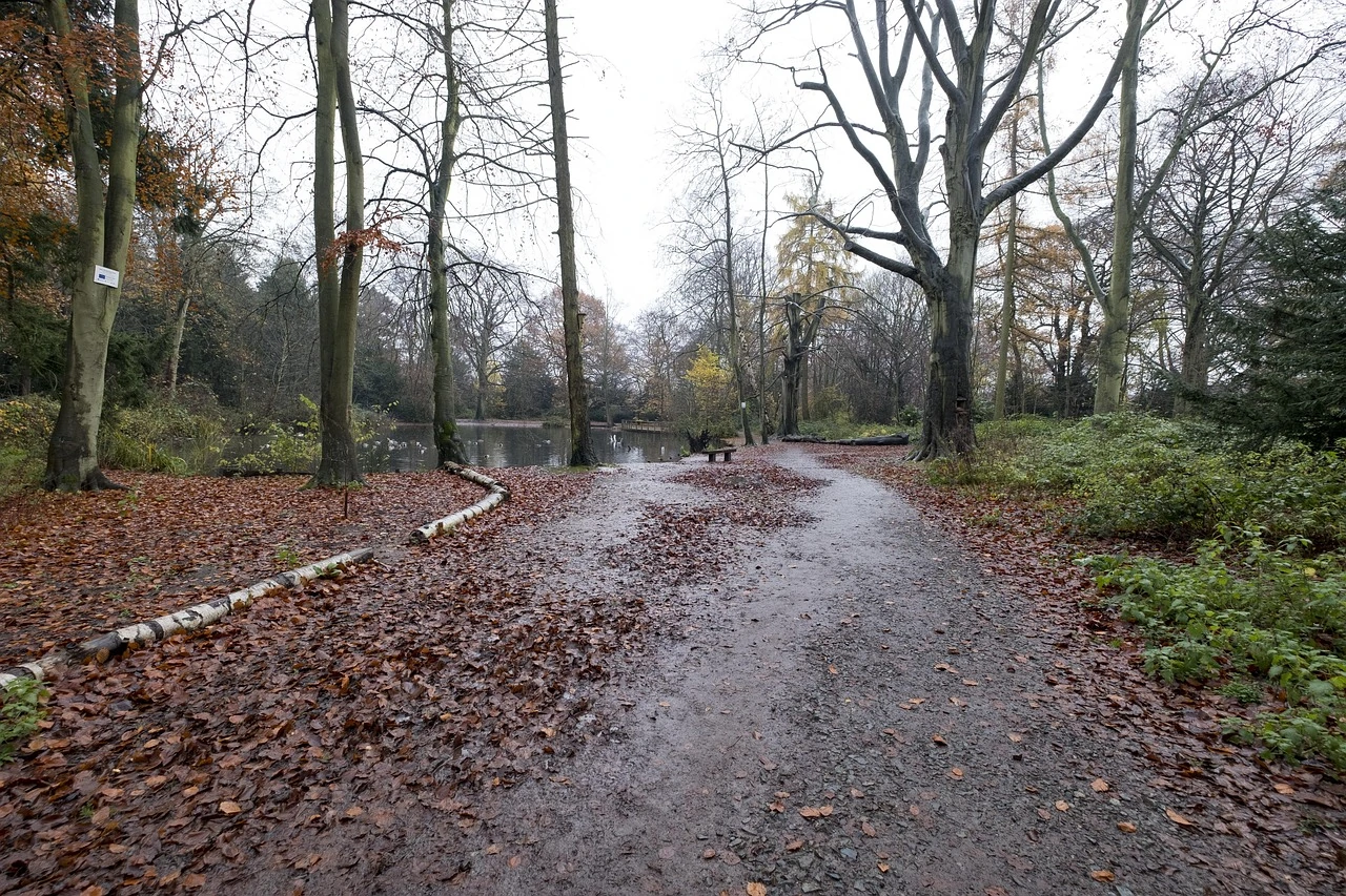Shropshire slips and trips claims